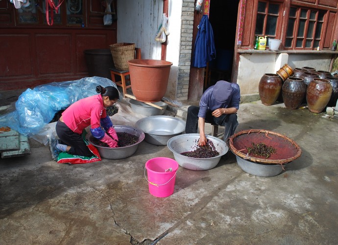 <b><p>Wu Gongdi’s daughter-in-law crushing grapes, while he himself picks out the stems from the already crushed fruit.</b></p>
Some seniors have recalled that locals previously chose to use a large wooden stick to crush grapes in wooden barrels before the 1950’s. The wooden basins have been abandoned for weight consideration and economics in contemporary times. 