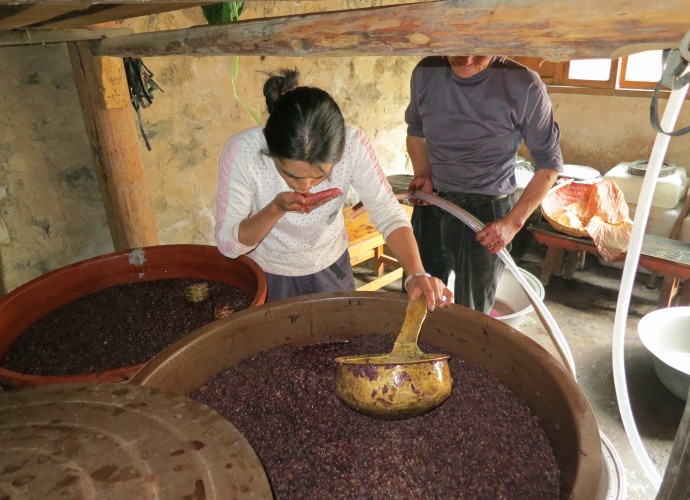 <b><p>Wu Gongdi’s daughter-in-law testing the degree of fermentation.</b></p>
Additionally, most villagers including Wu Gongdi add sugar when they crush the grapes, indicating that this helps with fermentation and increases sweetness. Indeed ‘Rose Honey’ itself is a rather sweet varietal of grape and makes a better dessert wine over a dry wine in the views of the authors.
