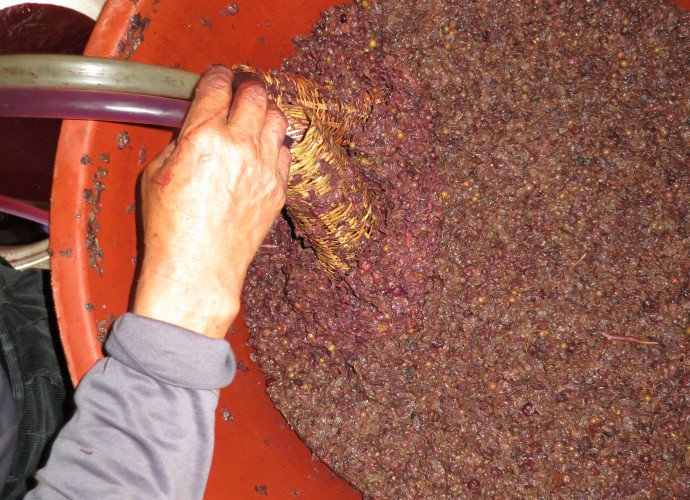 <b><p>Bamboo is wrapped around the end of the tubes as a filter while pumping fermented wine. </b></p>
The filtration and sieving process is repeated several times until the wine becomes a pure liquid free of sediment.