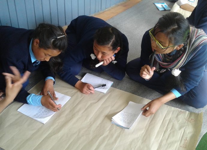 Climate Change Workshop. (Tshering Gurung, June 2016)
A workshop organized at a local school for youth to learn about climate change and empower them with practical knowledge. During this event, children were able to discuss what they can do to address climate change. Some of them committed to using plastic bags minimally, and assured organizers that they will be teaching or giving awareness on climate change to others.