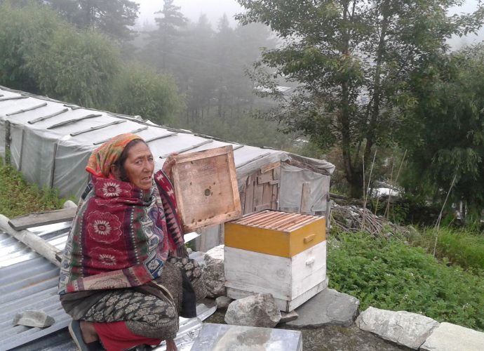 Beekeeper. (Tshering Gurung, July 2016)
Within the region formerly known as Kunjo VDC (Village Development Committee), beekeeping is an important livelihood strategy along with agricultural production. the government has been providing technical support, and some women are able to make a small income selling honey.