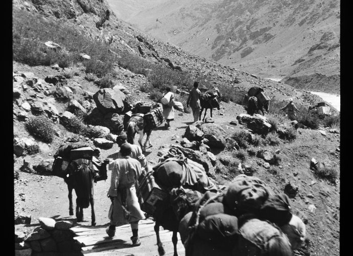 This photograph was taken in the Dras valley, just inside Ladakh from the Zoji pass. In this part of the route, mules and horses served as the main beasts of burden. Providing transport and portering services was an important source of income for villagers living near the road. It was also a source of oppression. Under the res (Tib,‘turn’) system they were obliged to take turns to provide transport for government officials and others provided with official permits. They received payment, but at relatively low rates, and they were obliged to provide this service even at times when labour was badly needed for agricultural work, for example during the harvest season.