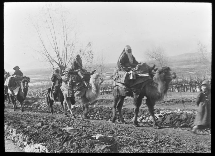 Two-humped Bactrian camels were valued for their strength and sure-footedness, and often used on the mountain routes from Ladakh and Baltistan across the Karakoram to Central Asia. These animals and their riders are representative of generations of Central Asian traders who travelled across the 5,500m Karakoram Pass to Ladakh. However, in an interview recorded in September 2019, John Read identified them with a particular group of Kazakh refugees who originated in Xinjiang and crossed into Ladakh via Tibet in the early 1940s. Many of these refugees subsequently migrated further to Turkey.
There are still a few Bactrian camels in Nubra. Nowadays they carry tourists posing for their own photographs rather than more substantial loads.