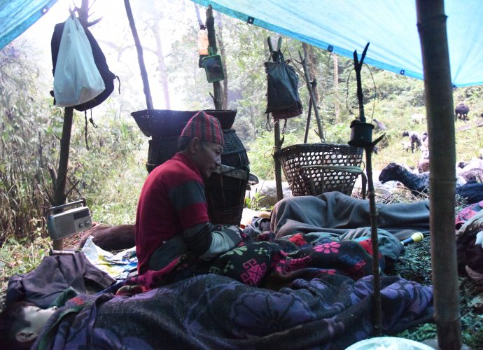 A temporary shelter used by pastoral herders during seasonal, transhumant migration is locally known as goth. Prior to the Sikkimese state’s grazing ban, herders would stay in more permanent structures. But now new rules and regulations require herders to carry with them temporary shelters. These shelters are often simply a plastic sheet suspended over wooden beams and tied down with the ropes. Within the goth, the herder will store his possessions, which may include a woven mat to sleep on, an assortment of pots and cooking utensils, a lantern, and a transistor radio. Other possession commonly found in a goth include a dunderi, a wooden cylinder used to collect sheep milk, and a small knitted bag for salt known as a dapcha.