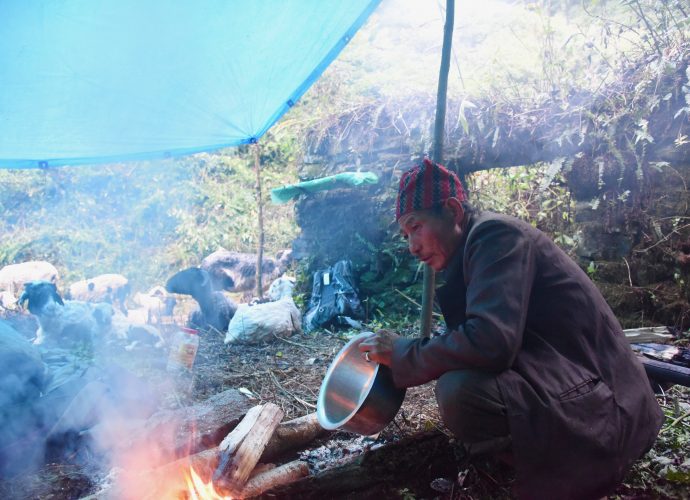 Meals are often kept very simple to save time and energy. Most meals consist mainly of rice. The herder will travel with a two-month supply of rice and will often purchase additional rations and supplies when traveling through a village or settlement.
